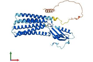 AlphaFold protein structure predicition of Human Recombinant SLC30A8 Protein, UniprotID Q8IWU4