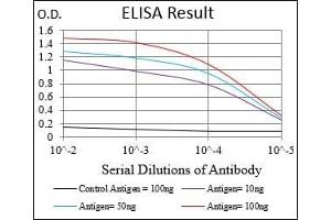 Black line: Control Antigen (100 ng), Purple line: Antigen(10 ng), Blue line: Antigen (50 ng), Red line: Antigen (100 ng), (MAPK7 antibody  (AA 411-556))