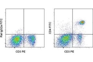 Image no. 1 for anti-CD4 (CD4) antibody (FITC) (ABIN474121) (CD4 antibody  (FITC))