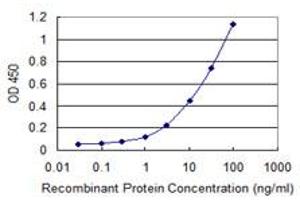 Detection limit for recombinant GST tagged PDIA5 is 0. (PDIA5 antibody  (AA 31-130))