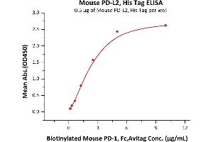 Immobilized Mouse PD-L2, His Tag (ABIN2870760,ABIN2870761) at 5 μg/mL (100 μL/well) can bind Biotinylated Mouse PD-1, Fc,Avitag (ABIN2870576,ABIN2870577) with a linear range of 0. (PDCD1LG2 Protein (AA 20-219) (His tag))