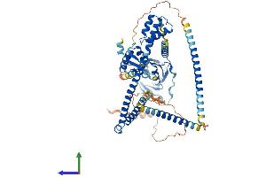 Protein Structure (PS) image for Ecto-NOX Disulfide-Thiol Exchanger 2 (ENOX2) (AA 1-598) protein (His tag) (ABIN7564687)