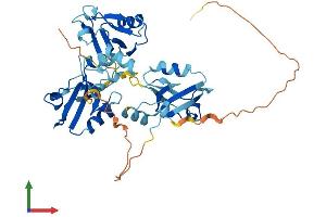 AlphaFold protein structure predicition of Human Recombinant PDZK1P1 Protein, UniprotID A8MUH7 (PDZK1P1 Protein (AA 1-402) (His tag))
