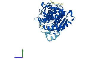AlphaFold protein structure predicition of Human Recombinant ALG5 Protein, UniprotID Q9Y673 (ALG5 Protein (AA 1-324) (His tag))