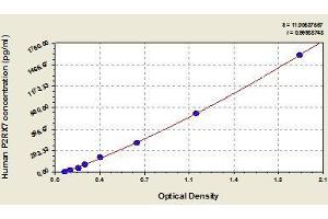 P2RX7 ELISA Kit