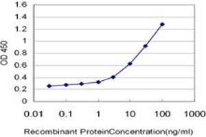 Detection limit for recombinant GST tagged PRKAA2 is approximately 0. (PRKAA2 antibody  (AA 453-552))