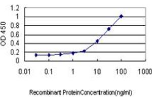 Detection limit for recombinant GST tagged SCYE1 is approximately 1ng/ml as a capture antibody. (AIMP1 antibody  (AA 1-312))
