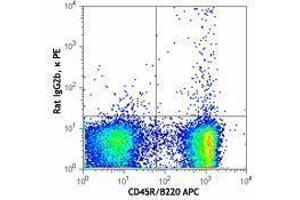 Flow Cytometry (FACS) image for anti-Tetraspanin 26 (TSPAN26) antibody (PE) (ABIN2662623) (CD37 antibody  (PE))