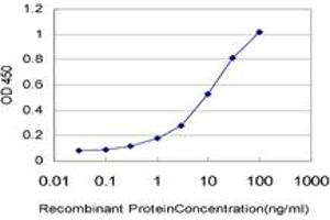 Detection limit for recombinant GST tagged ALG12 is approximately 0. (ALG12 antibody  (AA 369-425))