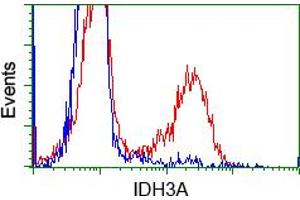 HEK293T cells transfected with either pCMV6-ENTRY IDH3A (RC200313) (Red) or empty vector control plasmid (Blue) were immunostained with anti-IDH3A mouse monoclonal (ABIN2453166), and then analyzed by flow cytometry. (IDH3A antibody)