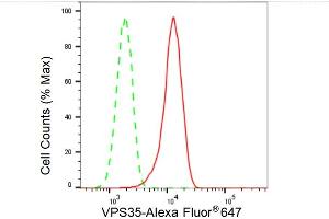 Flow cytometric analysis of VPS35 expression in C2C12 cells using VPS35 antibody (ABIN7800814), 1:2,000). (Recombinant VPS35 antibody)