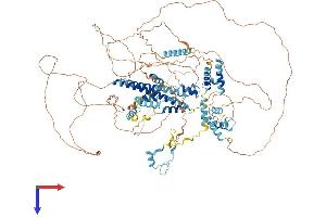 SFRS14 Protein (AA 1-1067) (His tag)