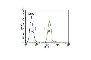 Flow Cytometry (FACS) image for anti-Tyrosinase (TYR) (AA 486-513), (C-Term) antibody (ABIN391520)