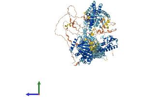 AlphaFold protein structure predicition of Mouse Recombinant Kdm5d Protein, UniprotID Q62240