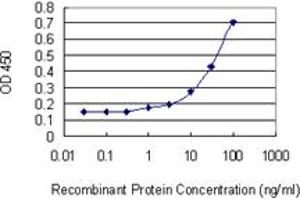 Detection limit for recombinant GST tagged ATF6 is 0. (ATF6 antibody  (AA 91-193))