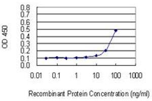 Detection limit for recombinant GST tagged RPL17 is 3 ng/ml as a capture antibody. (RPL17 antibody  (AA 1-184))
