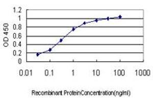 Detection limit for recombinant GST tagged SOCS5 is approximately 0. (SOCS5 antibody  (AA 1-110))