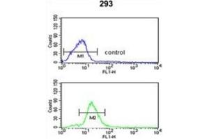 Flow Cytometry (FACS) image for anti-Peroxisomal Biogenesis Factor 11 alpha (PEX11A) antibody (ABIN3004001) (PEX11A antibody)
