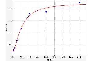 CCR8 ELISA Kit