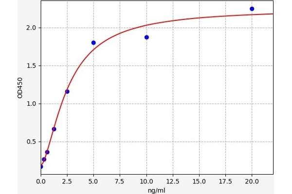 CCR8 ELISA Kit