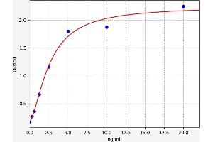 Typical standard curve (CCR8 ELISA Kit)
