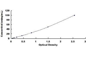 Typical standard curve (TIMP2 ELISA Kit)