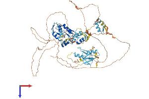 AlphaFold protein structure predicition of Human Recombinant ZNF280C Protein, UniprotID Q8ND82 (ZNF280C Protein (AA 1-737) (His tag))