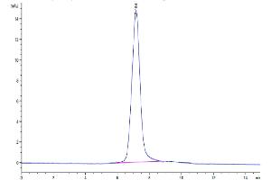 The purity of Human ITGAX&ITGB2 is greater than 95 % as determined by SEC-HPLC. (Integrin alpha X beta 2 (ITGAX & ITGB2) Heterodimer (AA 20-1107) protein (His tag))