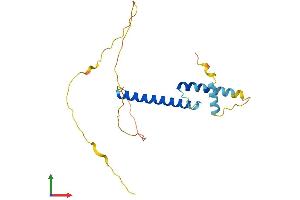 Protein Structure (PS) image for Twist Homolog 1 (Drosophila) (TWIST1) (AA 1-202) protein (His tag) (ABIN7544796)