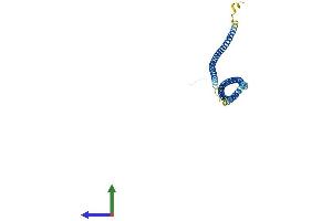 AlphaFold protein structure predicition of Mouse Recombinant Ccdc122 Protein, UniprotID Q8BVN0