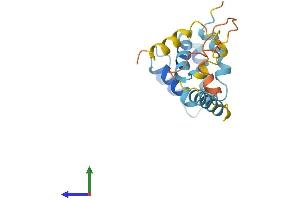 AlphaFold protein structure predicition of Mouse Recombinant Card19 Protein, UniprotID Q9D1I2 (C9orf89 Protein (AA 1-183) (His tag))