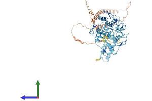 AlphaFold protein structure predicition of Human Recombinant ZNF253 Protein, UniprotID O75346