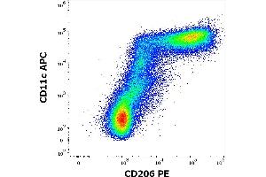 Flow cytometry multicolor surface staining pattern of human stimulated (GM-CSF + IL-4) peripheral blood mononuclear cells stained using anti-human CD206 (15-2) PE antibody (10 μL reagent per milion cells in 100 μL of cell suspension) and anti-human CD11c (BU15) APC antibody (10 μL reagent per milion cells in 100 μL of cell suspension). (Macrophage Mannose Receptor 1 antibody  (PE))