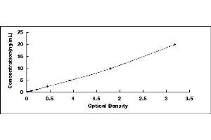 Typical standard curve