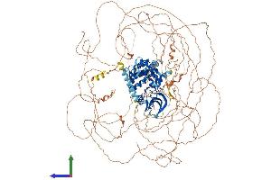 AlphaFold protein structure predicition of Mouse Recombinant Aatk Protein, UniprotID Q80YE4