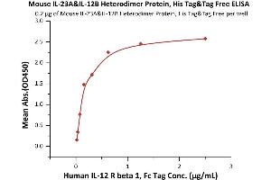 Immobilized Mouse IL-23A&IL-12B Heterodimer Protein, His Tag&Tag Free (ABIN4949174,ABIN4949175) at 2 μg/mL (100 μL/well) can bind Human IL-12 R beta 1, Fc Tag (ABIN6731330,ABIN6809859) with a linear range of 0.