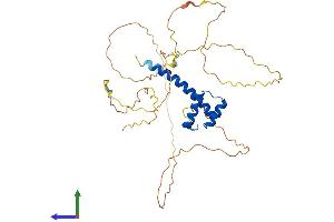 AlphaFold protein structure predicition of Human Recombinant HOXD10 Protein, UniprotID P28358 (HOXD10 Protein (AA 1-340) (His tag))