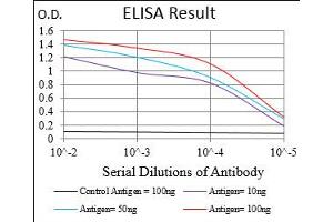 Fig. (SSTR3 antibody  (AA 1-43))