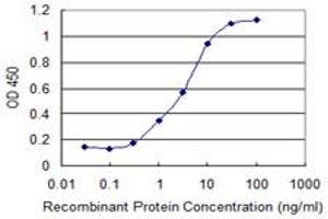 Detection limit for recombinant GST tagged PRKCD is 0. (PKC delta antibody  (AA 577-676))