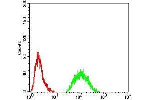 Flow cytometric analysis of Hela cells using JARID2 mouse mAb (green) and negative control (red).