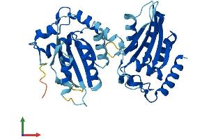 AlphaFold protein structure predicition of Human Recombinant APOBEC3F Protein, UniprotID Q8IUX4