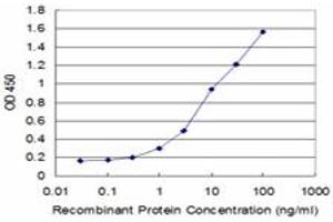 Detection limit for recombinant GST tagged SLC2A4 is approximately 0. (GLUT4 antibody  (AA 467-509))