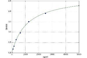 Sirtuin 6 (SIRT6) ELISA Kit