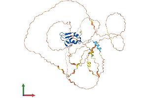 Protein Structure (PS) image for Ring Finger Protein 38 (RNF38) (AA 1-515) protein (His tag) (ABIN7551474)