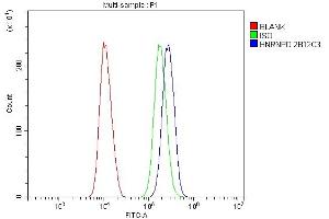 Flow Cytometry analysis of SiHa cells using anti- hnRNP D/AUF1/HNRNPD antibody (ABIN7602591). (HNRNPD/AUF1 antibody  (AA 88-246))