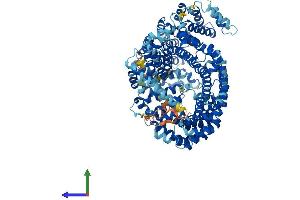 Protein Structure (PS) image for Importin 7 (IPO7) (AA 1-1038) protein (His tag) (ABIN7565025)
