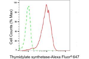 Flow cytometric analysis of Thymidylate synthetase expression in HepG2 cells using Thymidylate synthetase antibody (ABIN7800553), 1:2,000). (Recombinant TYMS antibody)