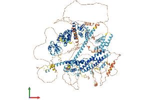AlphaFold protein structure predicition of Human Recombinant FHOD3 Protein, UniprotID Q2V2M9 (FHOD3 Protein (AA 1-1422) (His tag))