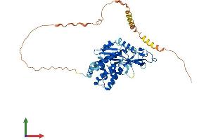 Protein Structure (PS) image for Smith-Magenis Syndrome Chromosome Region, Candidate 7 (SMCR7) (AA 1-454) protein (His tag) (ABIN7557485)