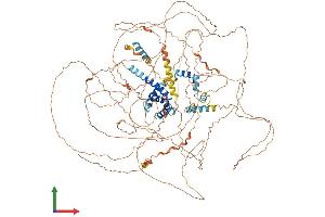 AlphaFold protein structure predicition of Mouse Recombinant Nutm1 Protein, UniprotID Q8BHP2 (NUT (AA 1-1126) protein (His tag))